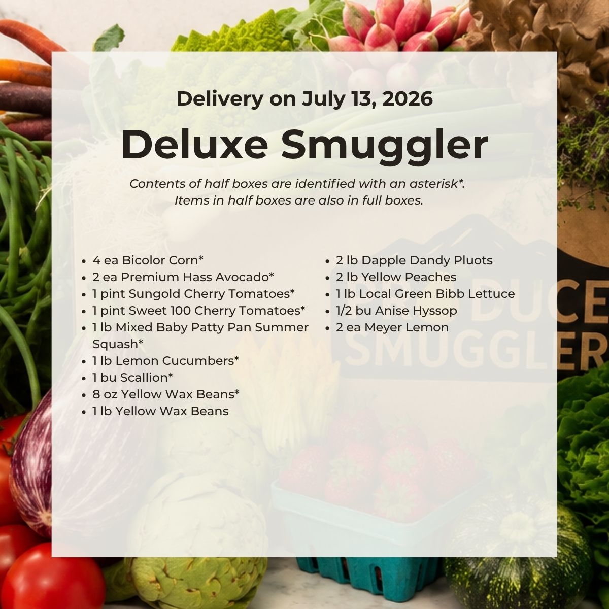 Deluxe Smuggler Box