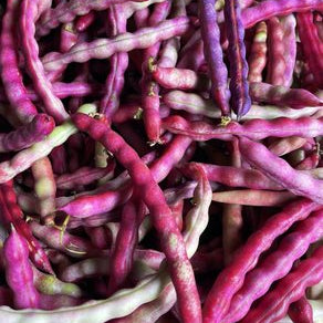 Gusanito Fresh Shelling Beans (1 lb)