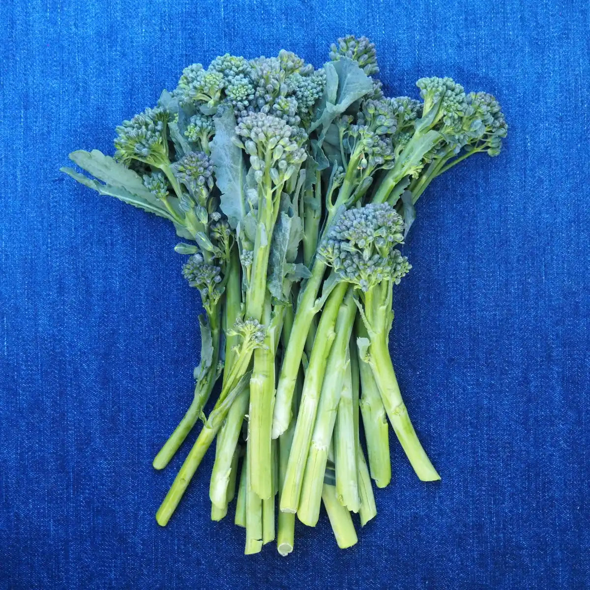 Baby Broccoli (1 bunch)