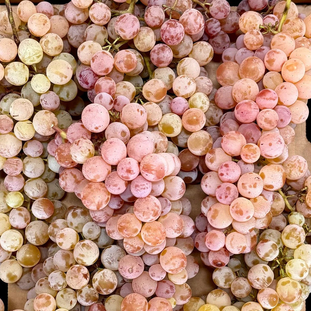 Bronx Grapes (1 lb)