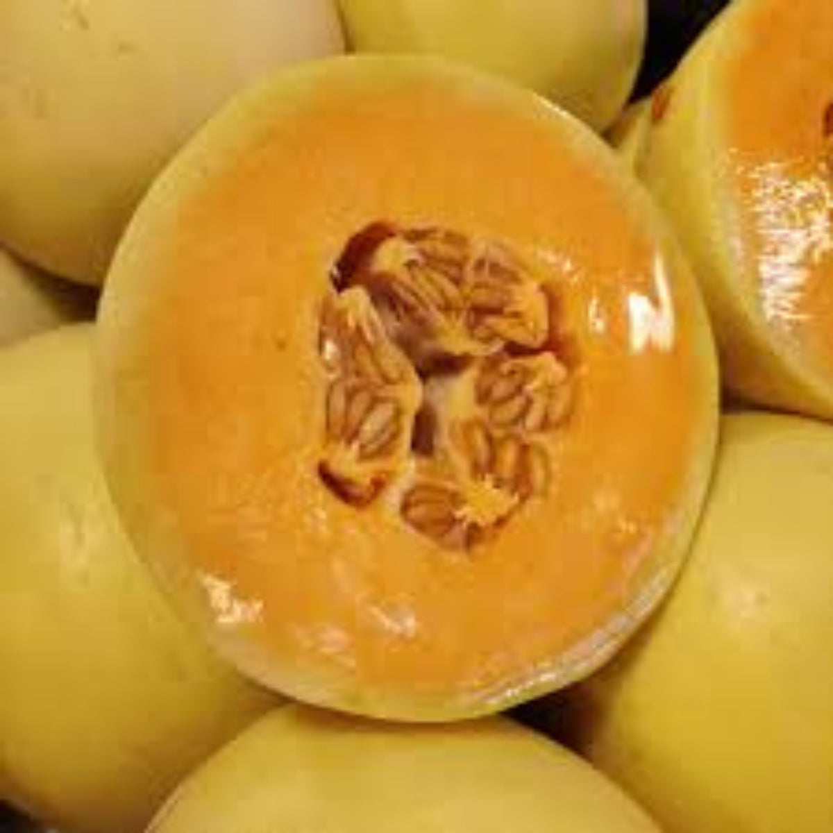 Canadew Melon (1 count)