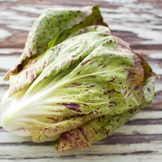 Organic Castlefranco Radicchio (1 lb)