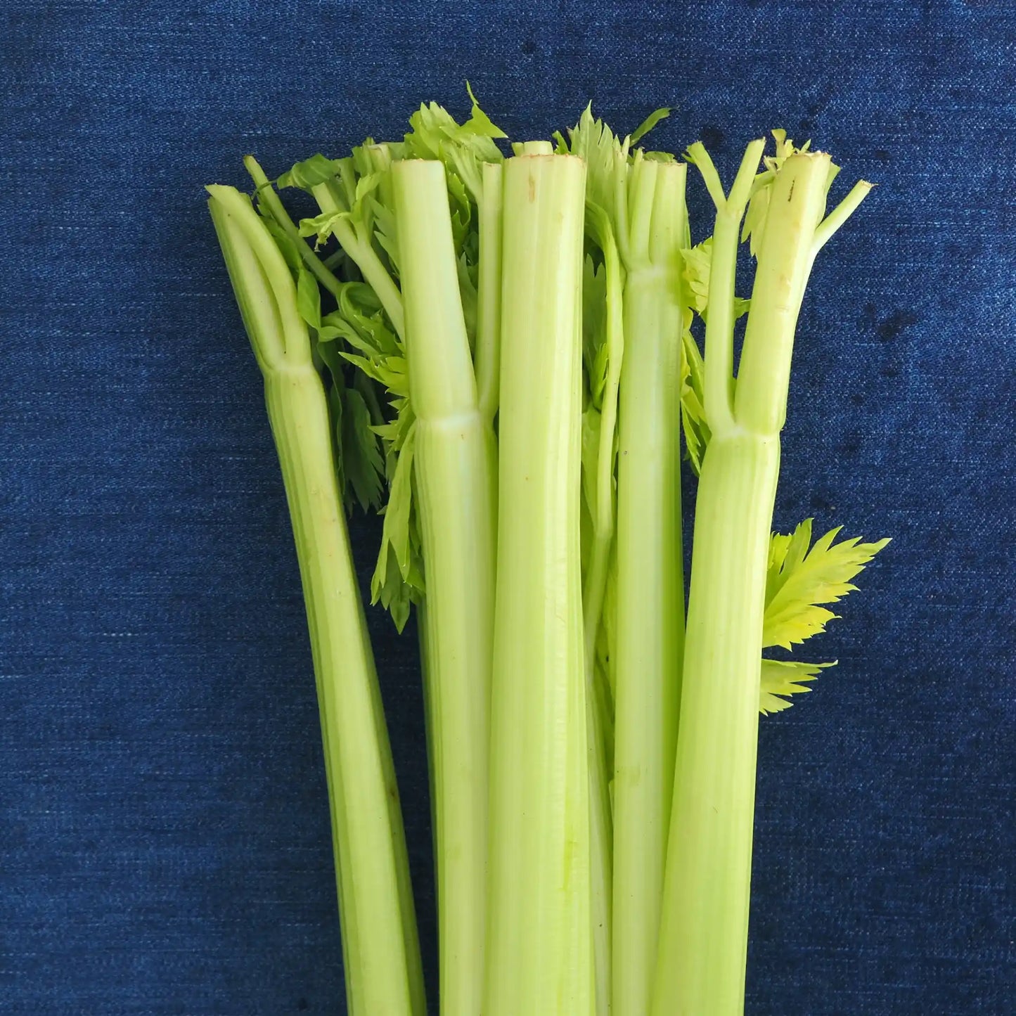 Celery (1 head)