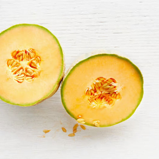 Charentais Melon (1 count)