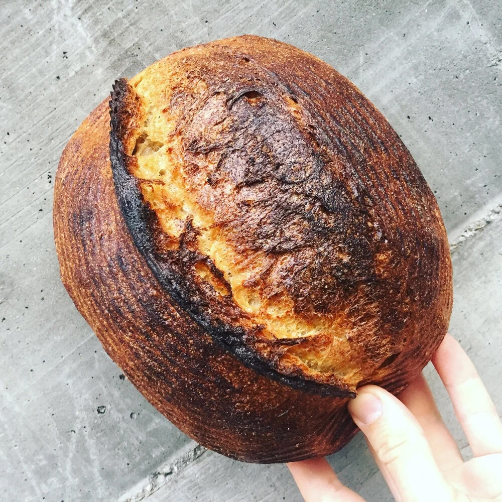 Josey Baker Country Bread (1 loaf)