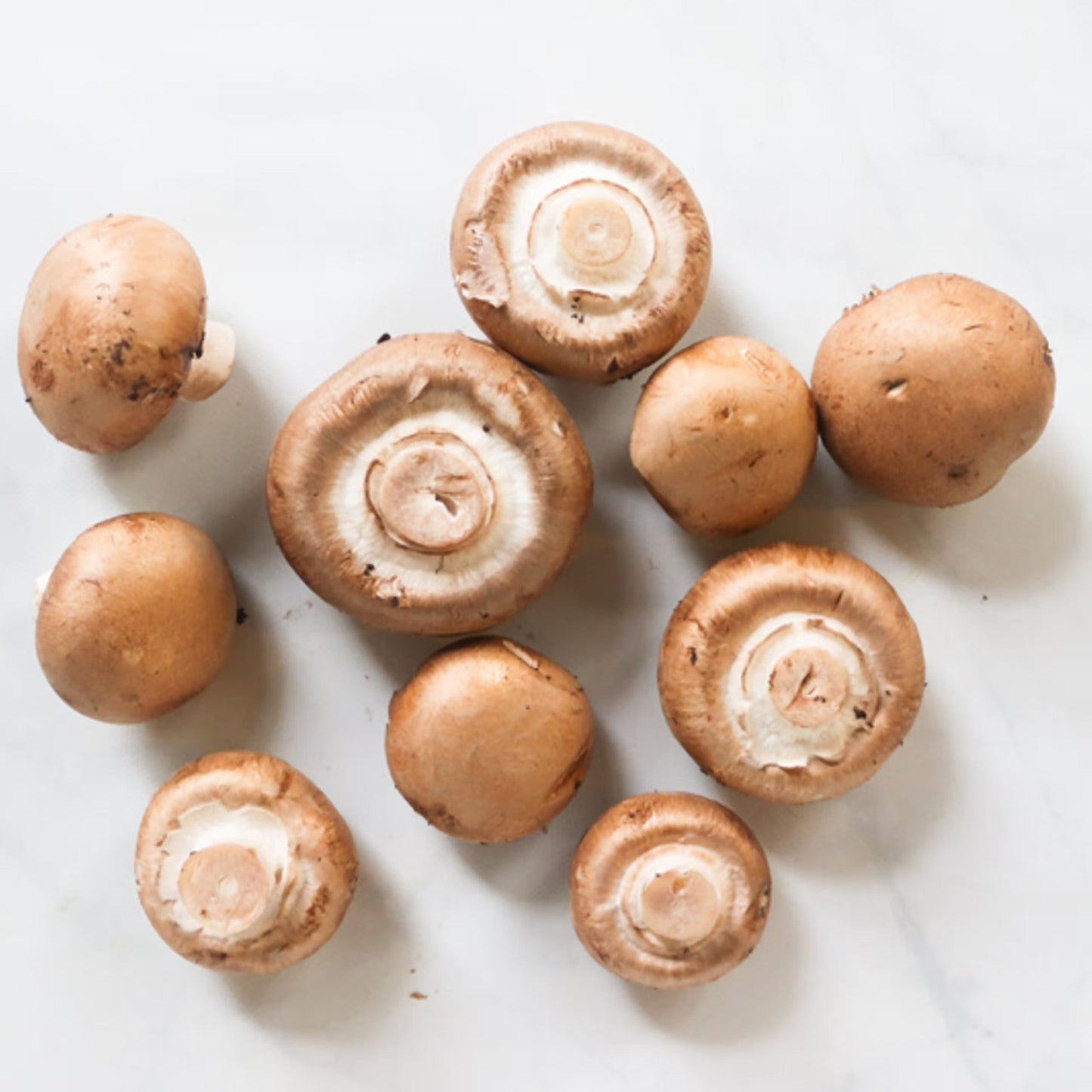 Organic Cremini Mushrooms (6 oz)