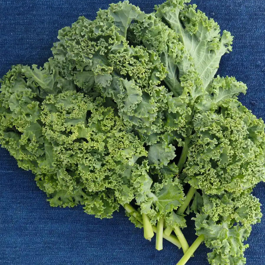 Curly Kale (1 bunch)
