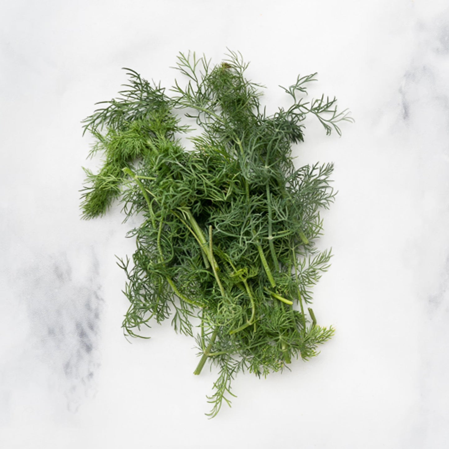 Organic Dill