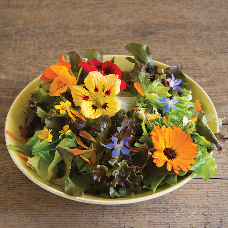 Edible Flower Mix (3 oz clamshell)