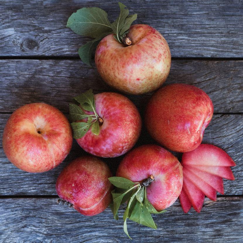 Organic Flavor Treat Pluot (1 lb)