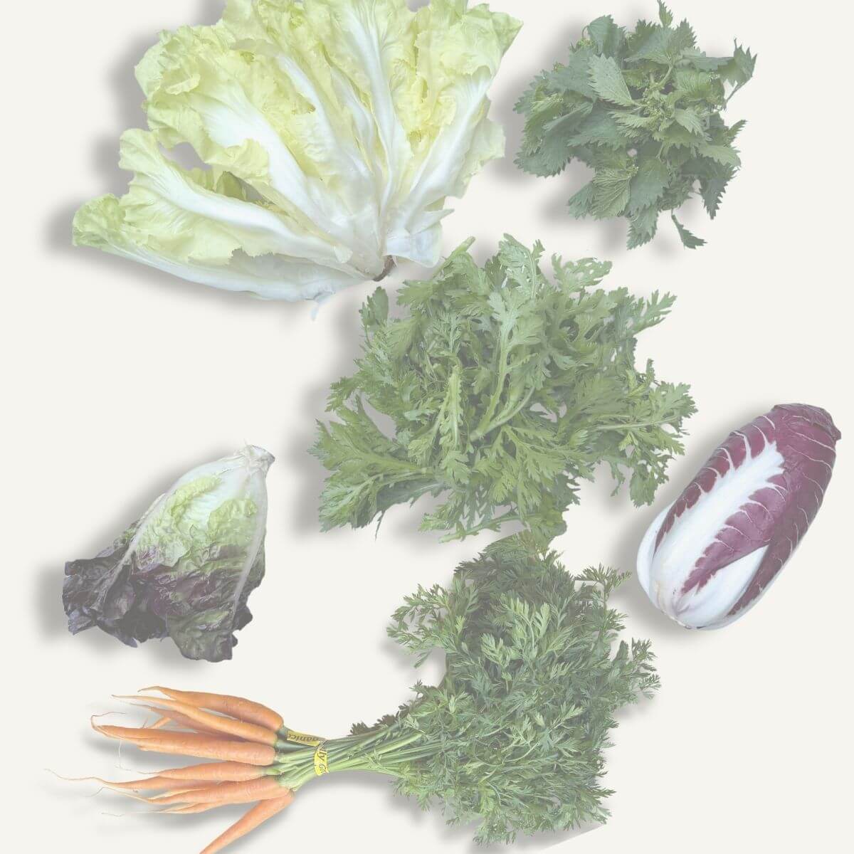 Gimme Greens Smuggler Box