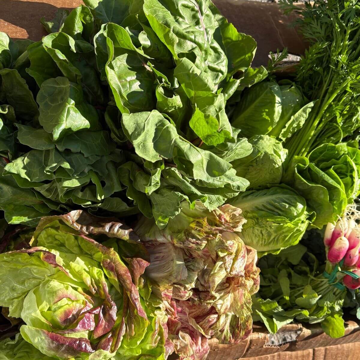 Gimme Greens Smuggler Box