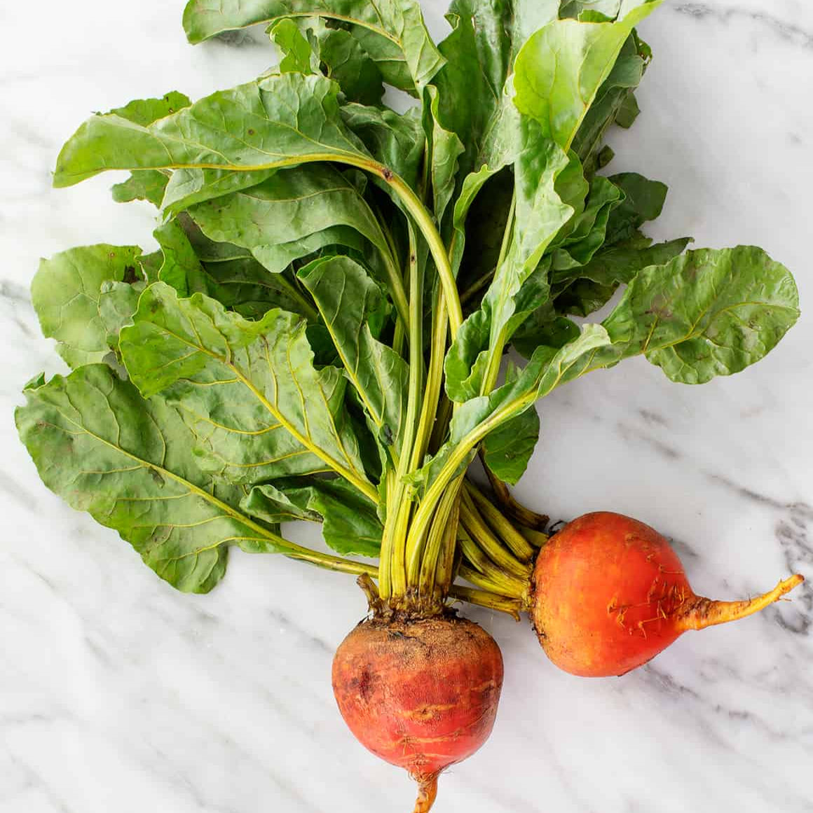 Organic Gold Beets (1 lb)