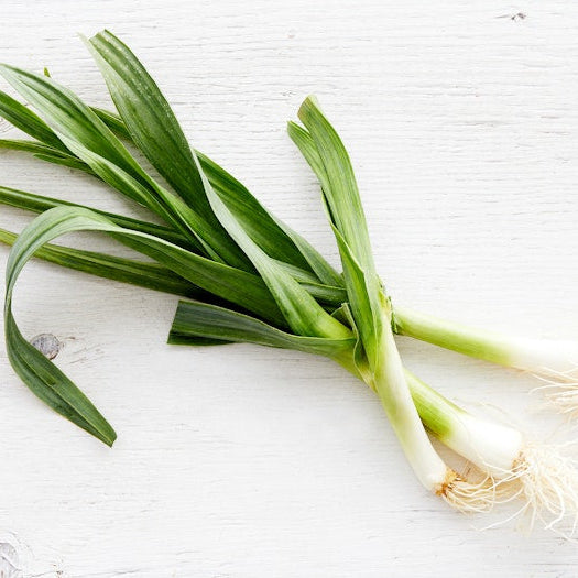Organic Green Garlic ( 1 lb )