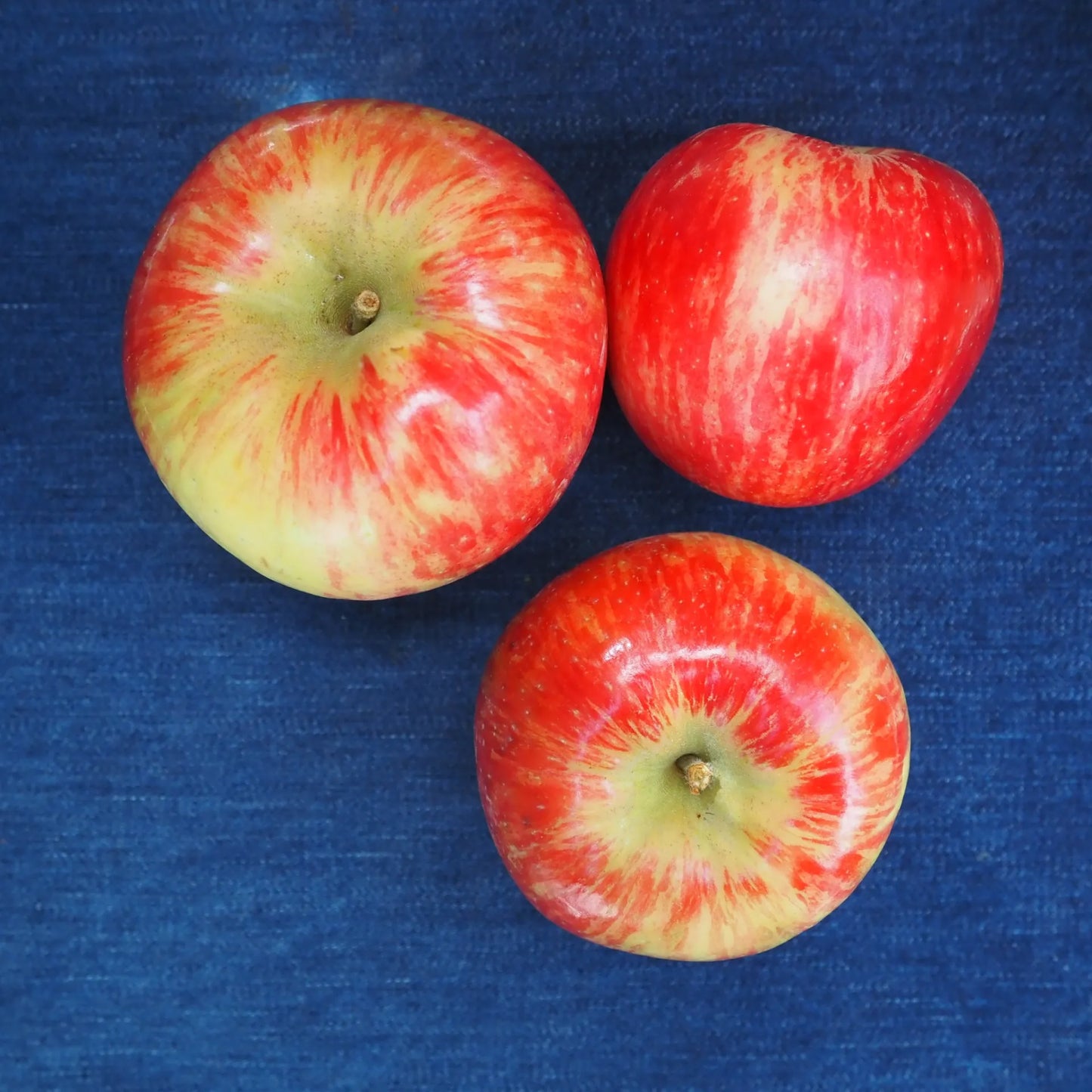 Honeycrisp Apple (1 lb)
