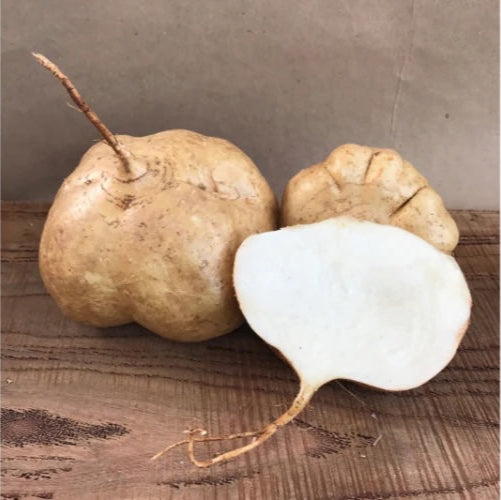 Organic Jicama (1 lb)