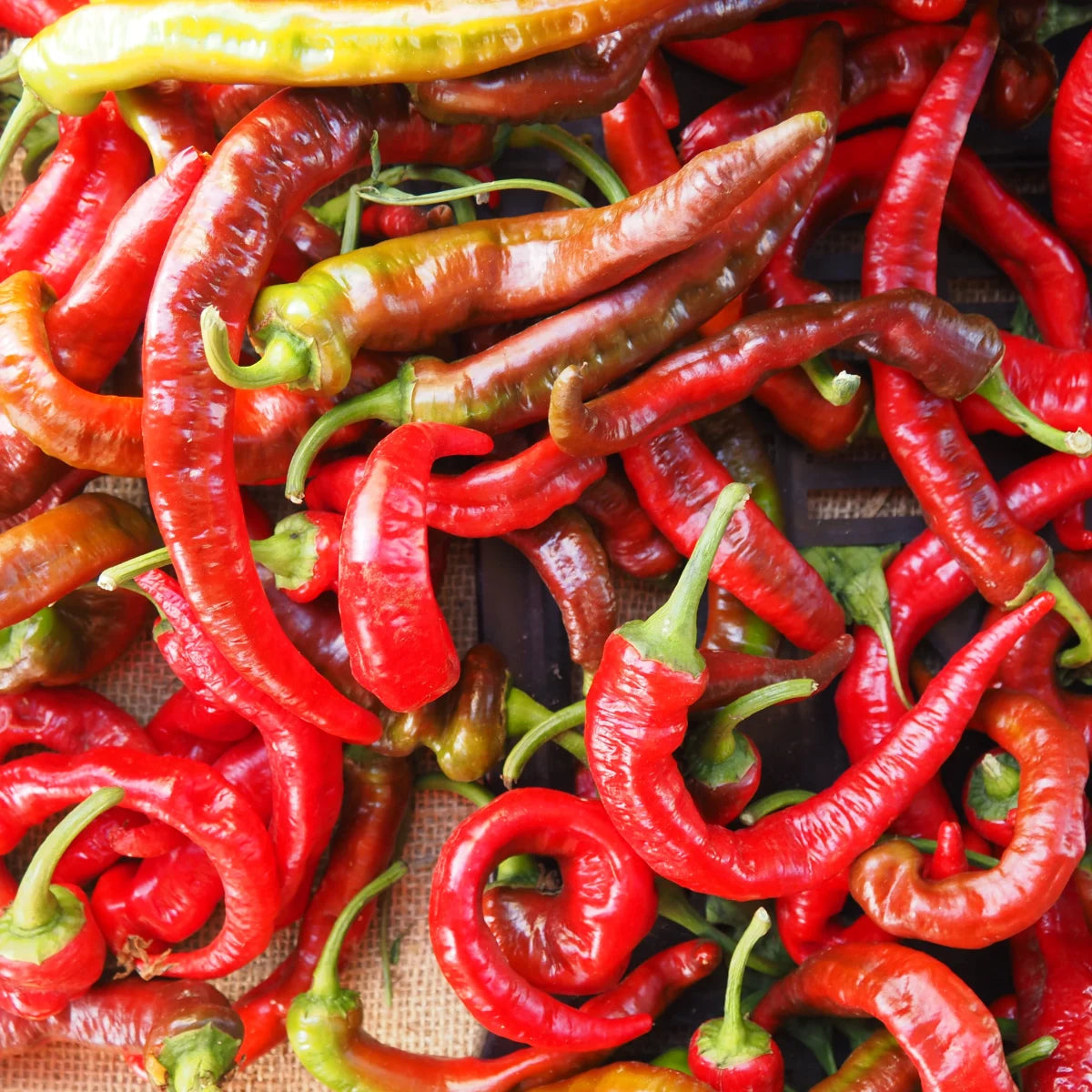 Jimmy Nardello Peppers ( 1 lb)