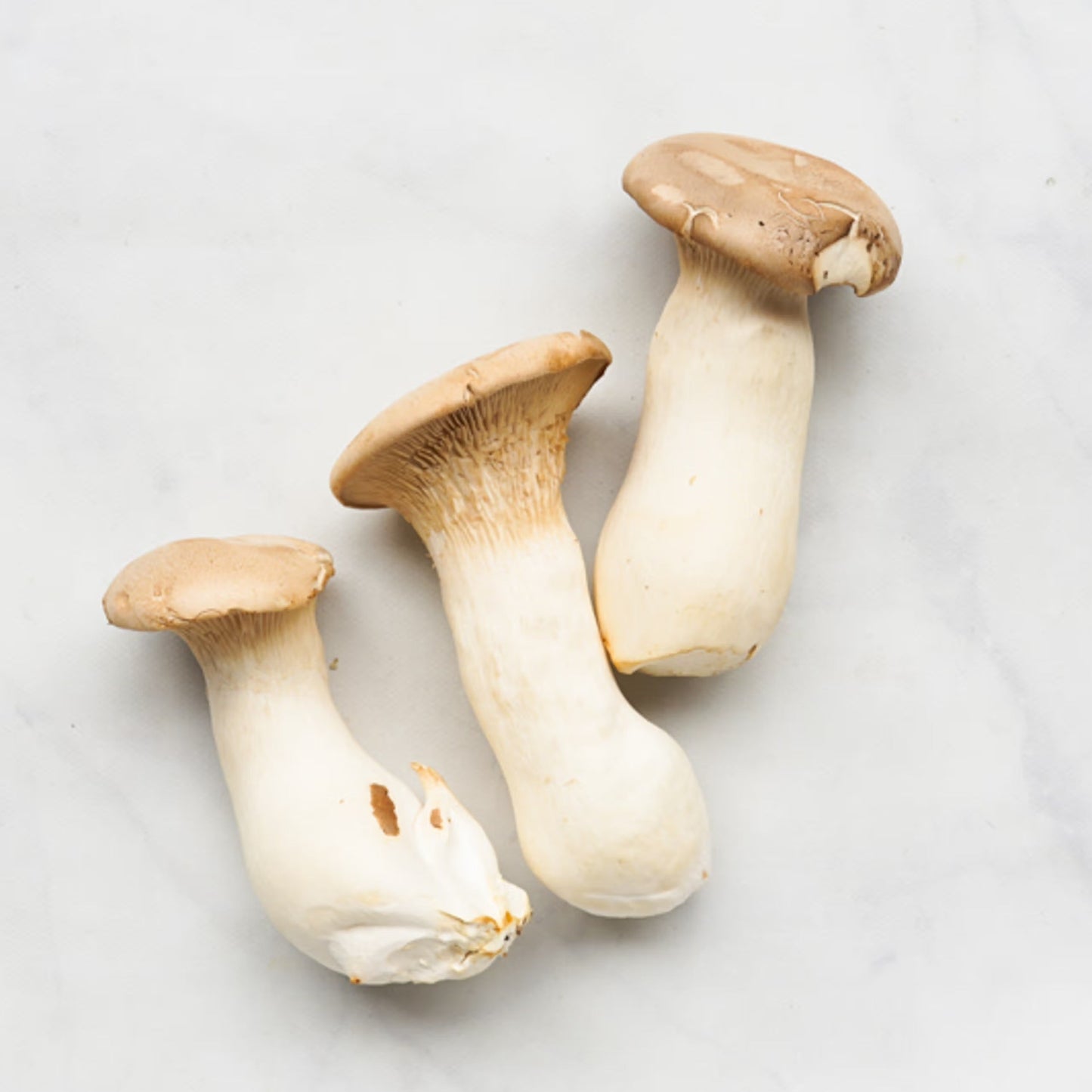 Organic Trumpet Royale (King Trumpet) Mushrooms (6 oz)