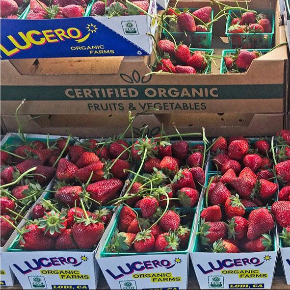 Organic Lucero Farm Seascape Strawberries (1 pint)