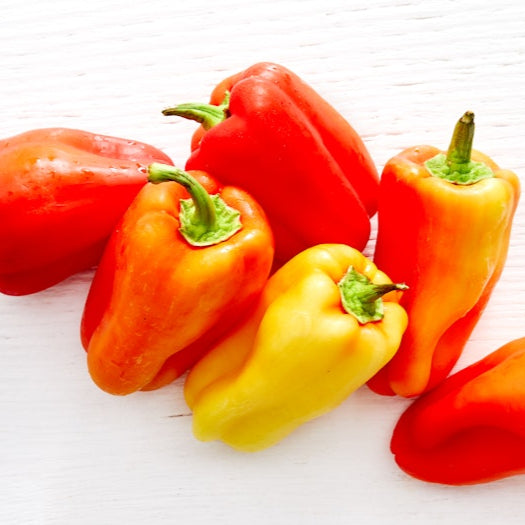 Mixed Gypsy Peppers (1 lb)