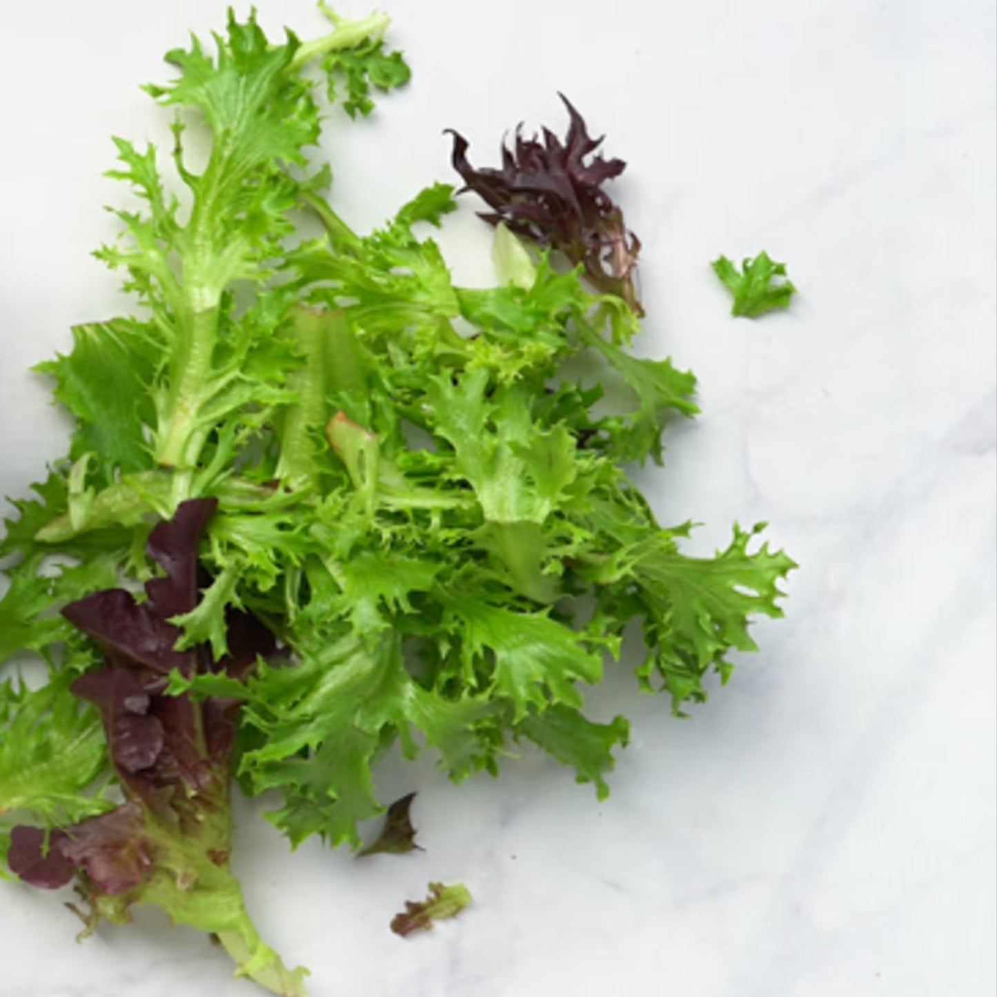 Organic Spring Lettuce Mix