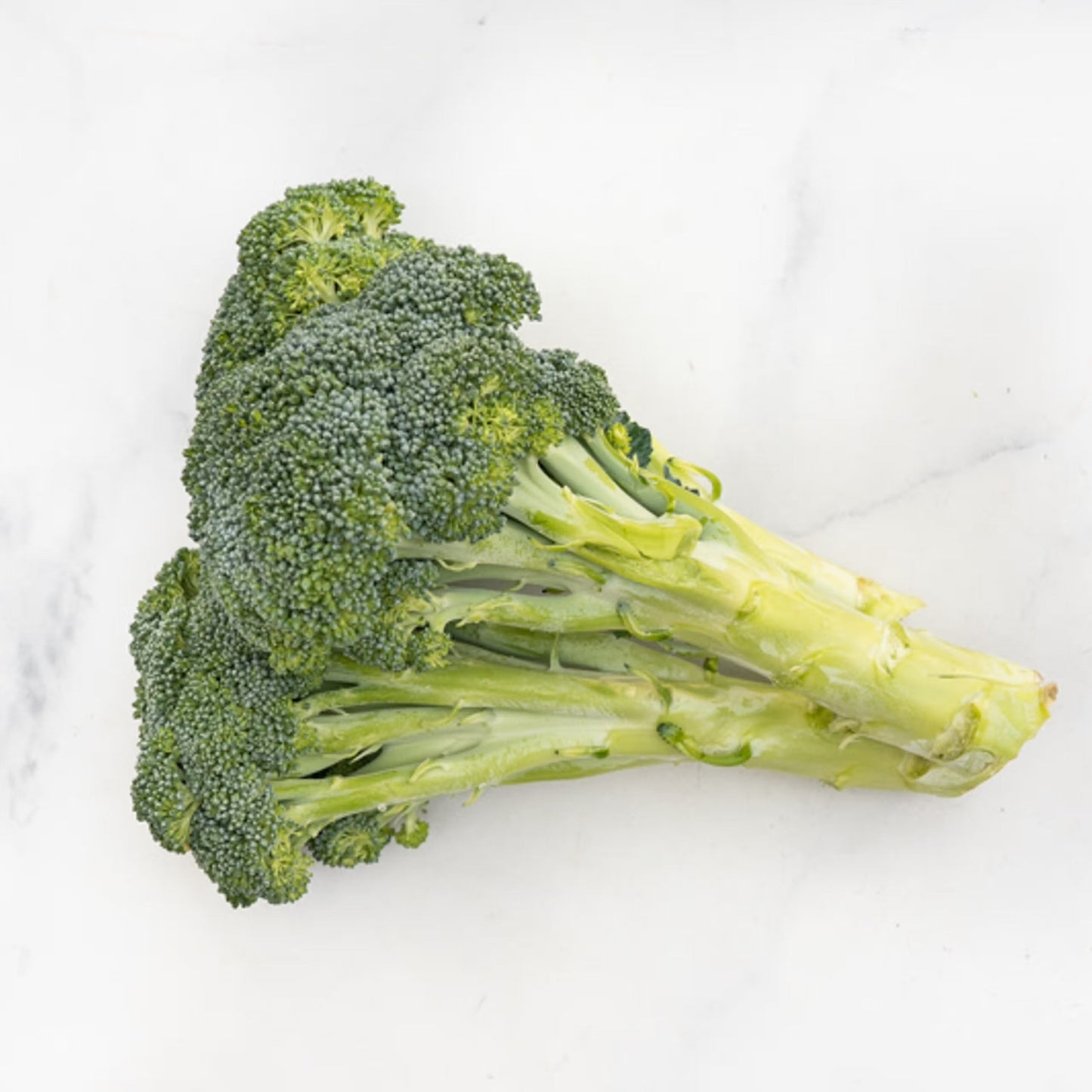 Broccoli (1 head)