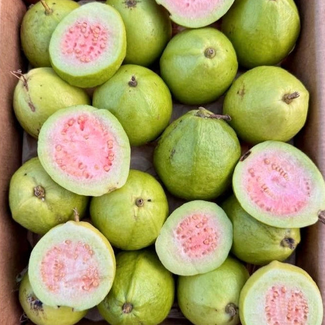 Organic Pink Guava (1 lb)