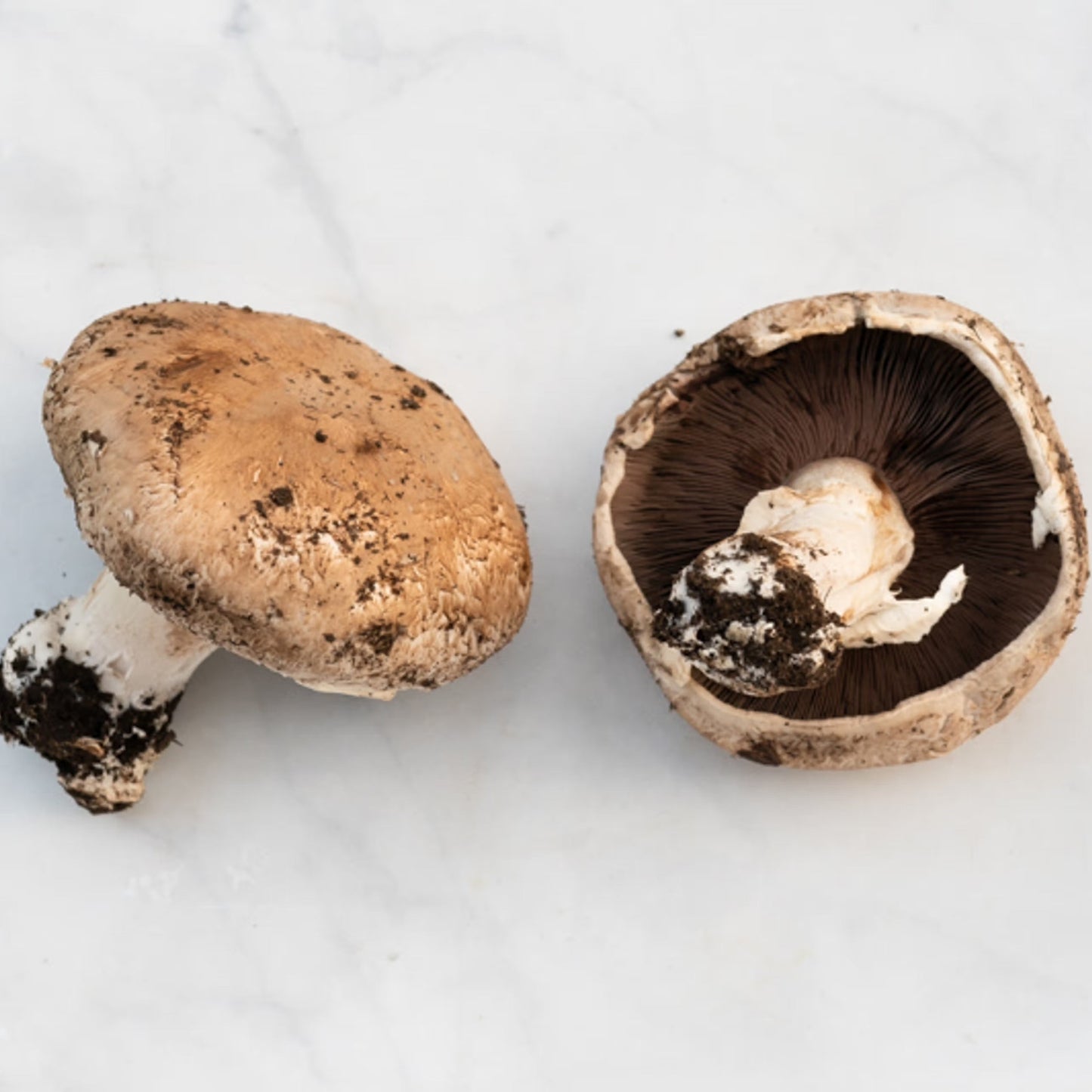Organic Portabella Mushrooms (6 oz)