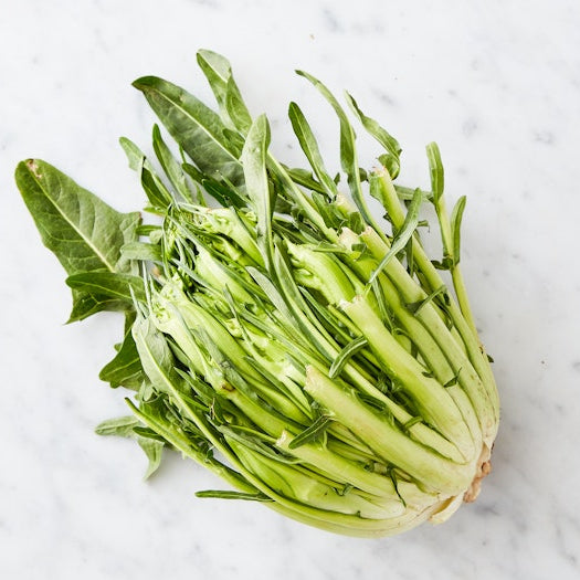 Organic Puntarelle Chicory ( 1 head )