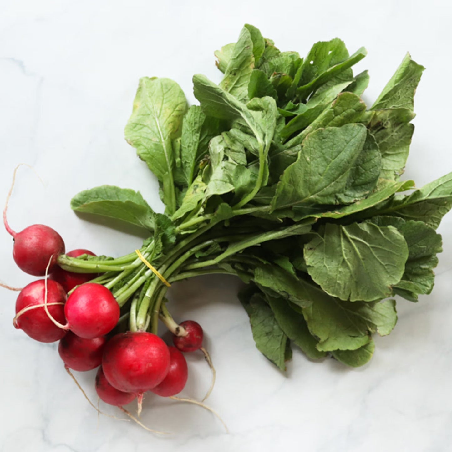 Organic Bunched Red Radishes (1 bunch)