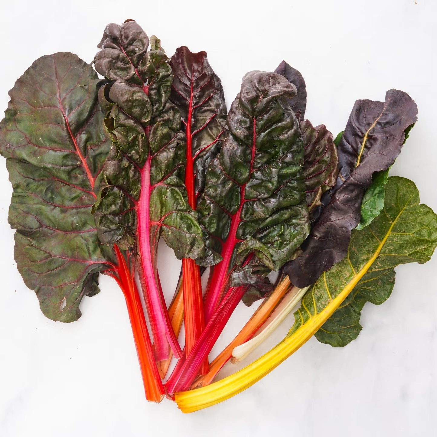 Organic Rainbow Chard (1 bunch)