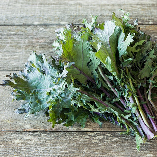 Organic Red Russian Kale (1 bunch)