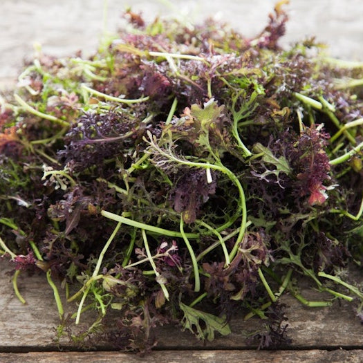 Organic Frilly Red Mustard Mix ( 8 oz )