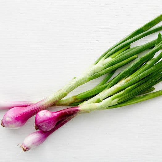 Organic Red Spring Onions ( 1 lb )