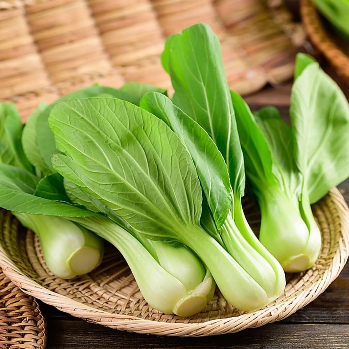 Organic Shanghai Bok Choy (1 bunch)