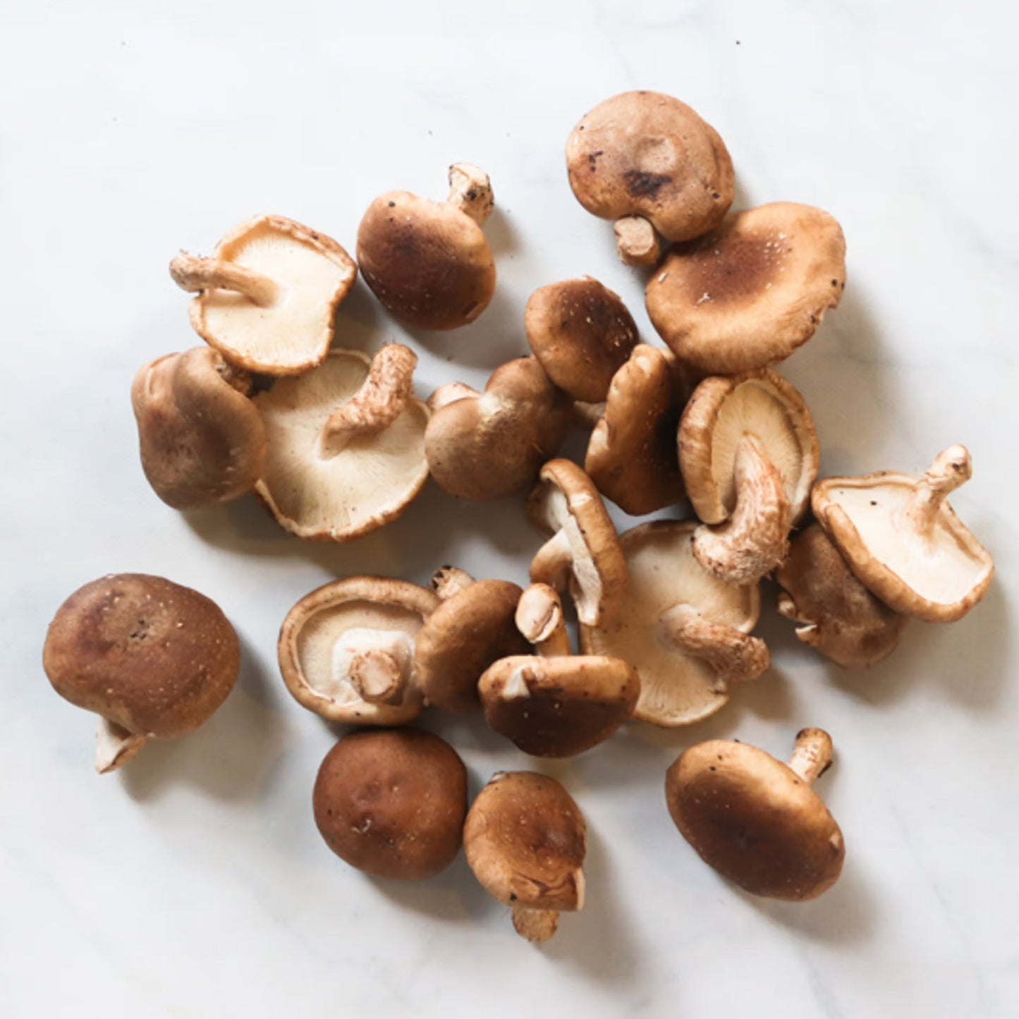 Organic Shitake Mushrooms (6 oz)