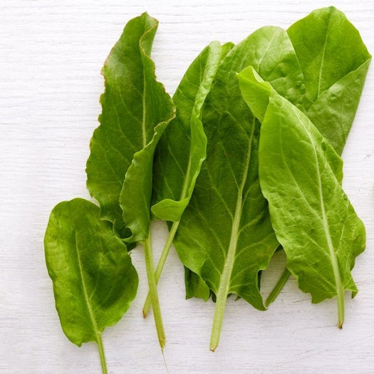 Organic Sorrel ( 1 bunch )