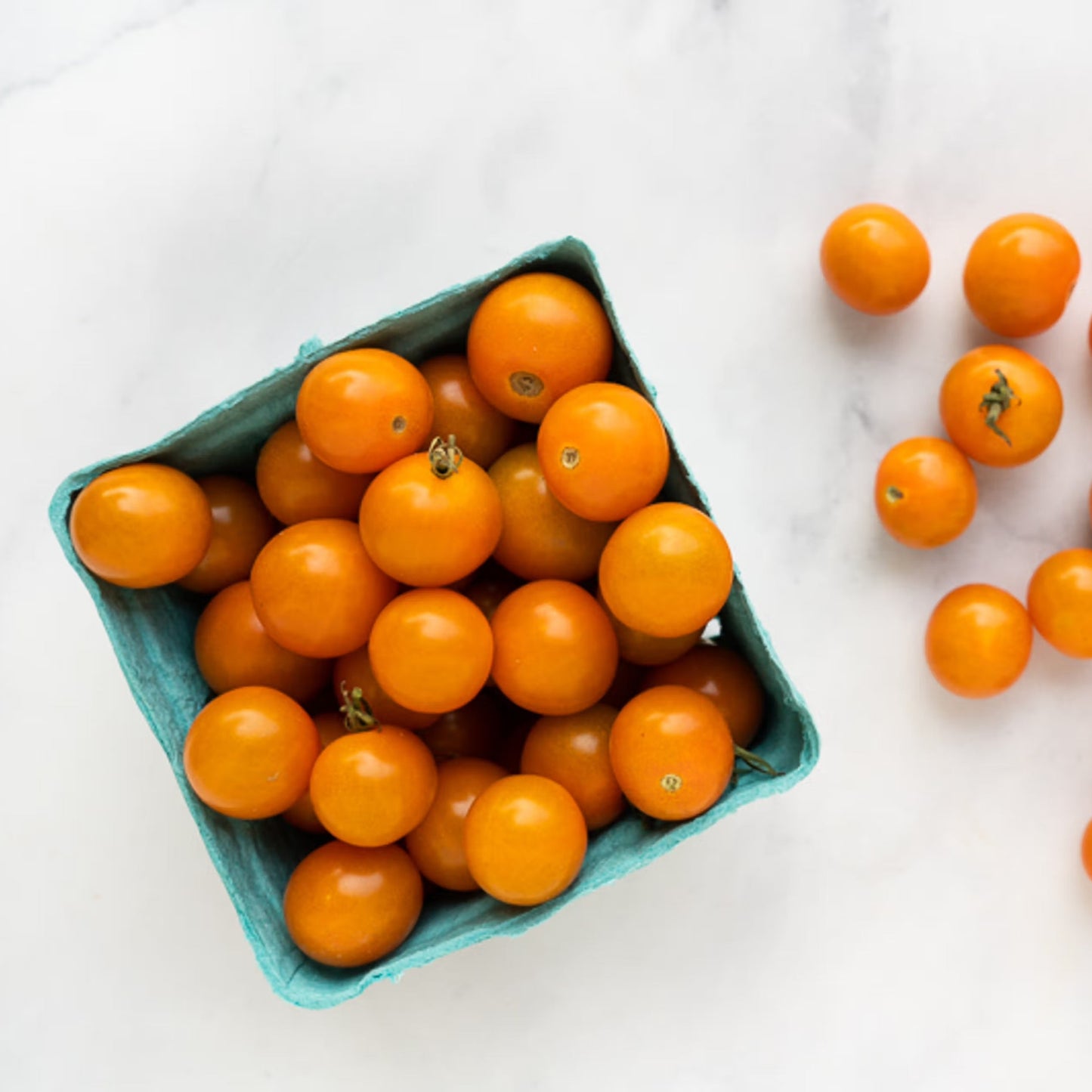Organic Sungold Cherry Tomatoes