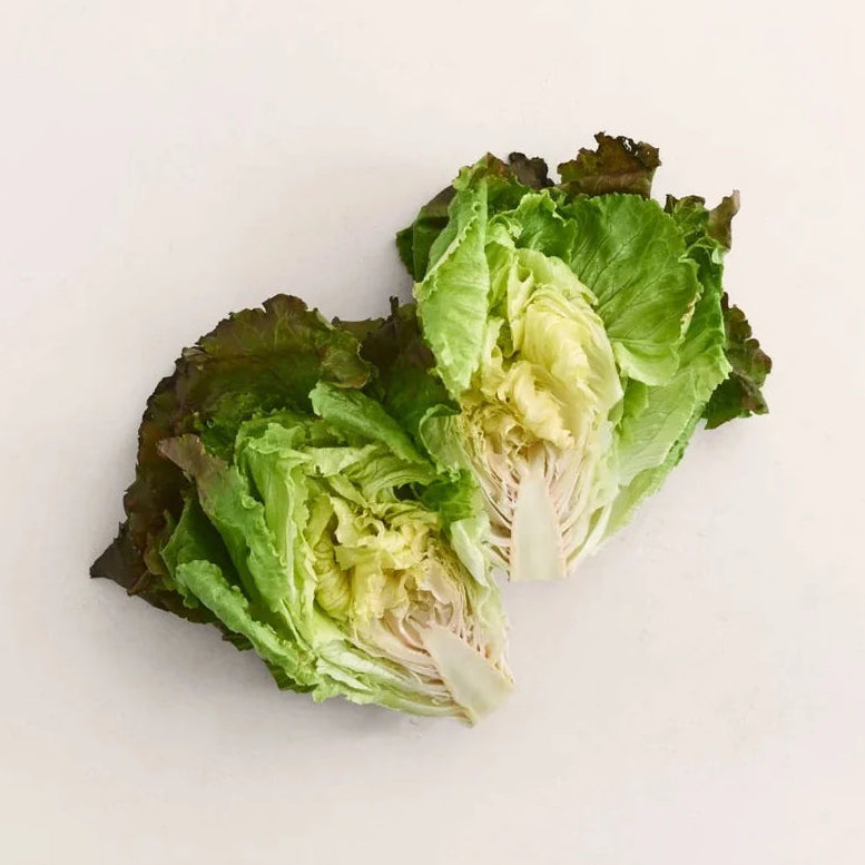 Teagan Lettuce (1 head)