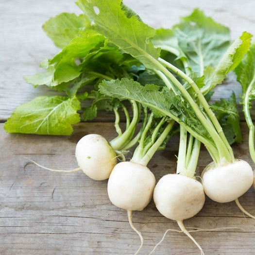 Organic Tokyo Turnips (1 bunch)