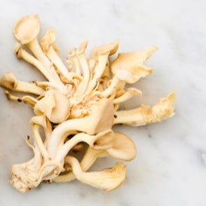 Organic Tree Oyster Mushrooms (6 oz)