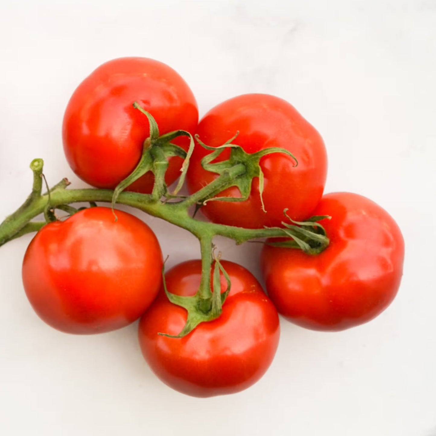 Organic On-The-Vine Tomatoes (1 lb)
