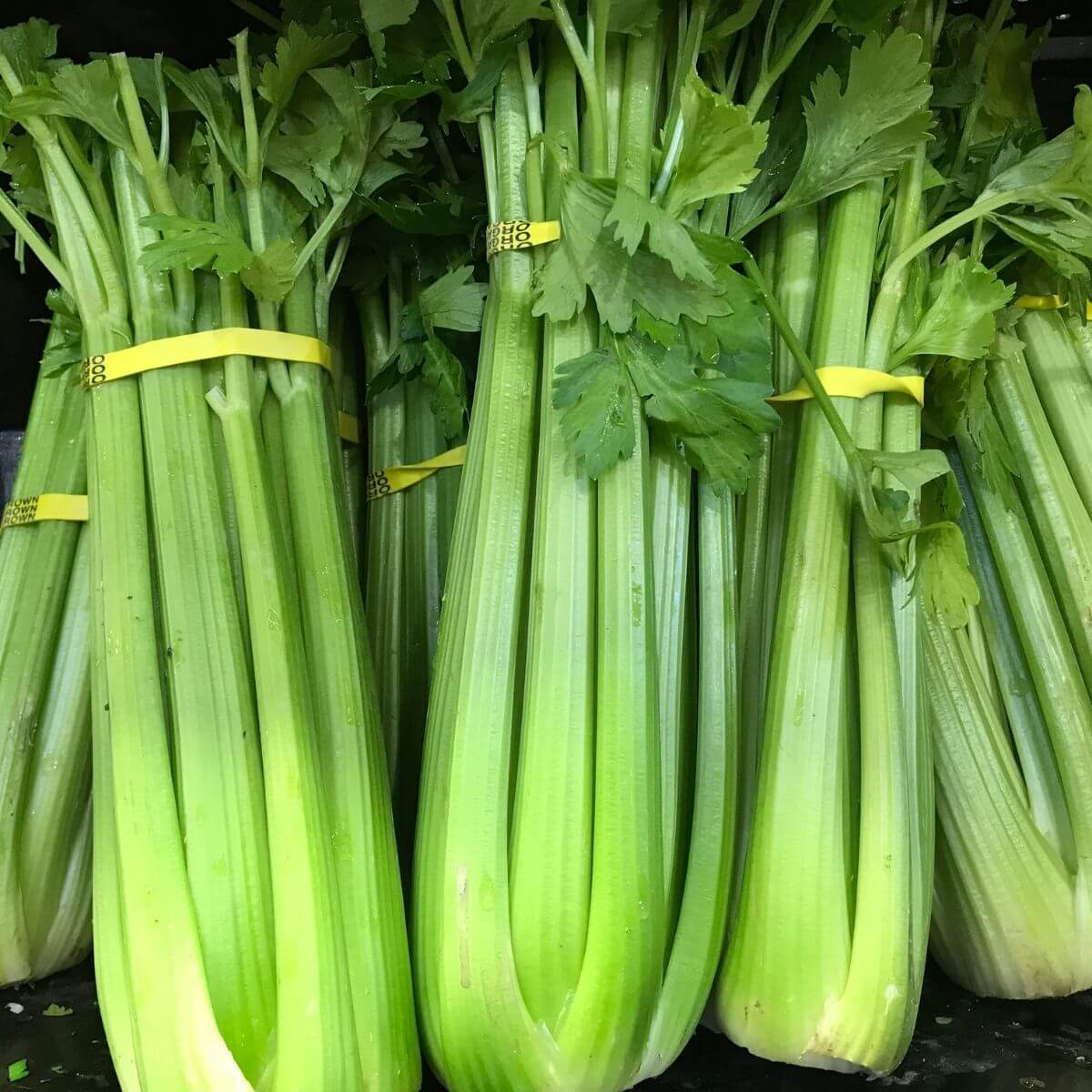 Organic Celery (1 head)