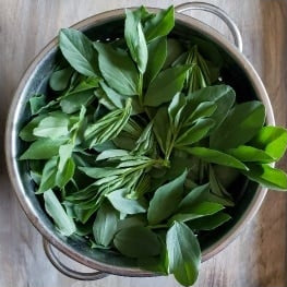 Organic Fava Greens ( .5 lb )