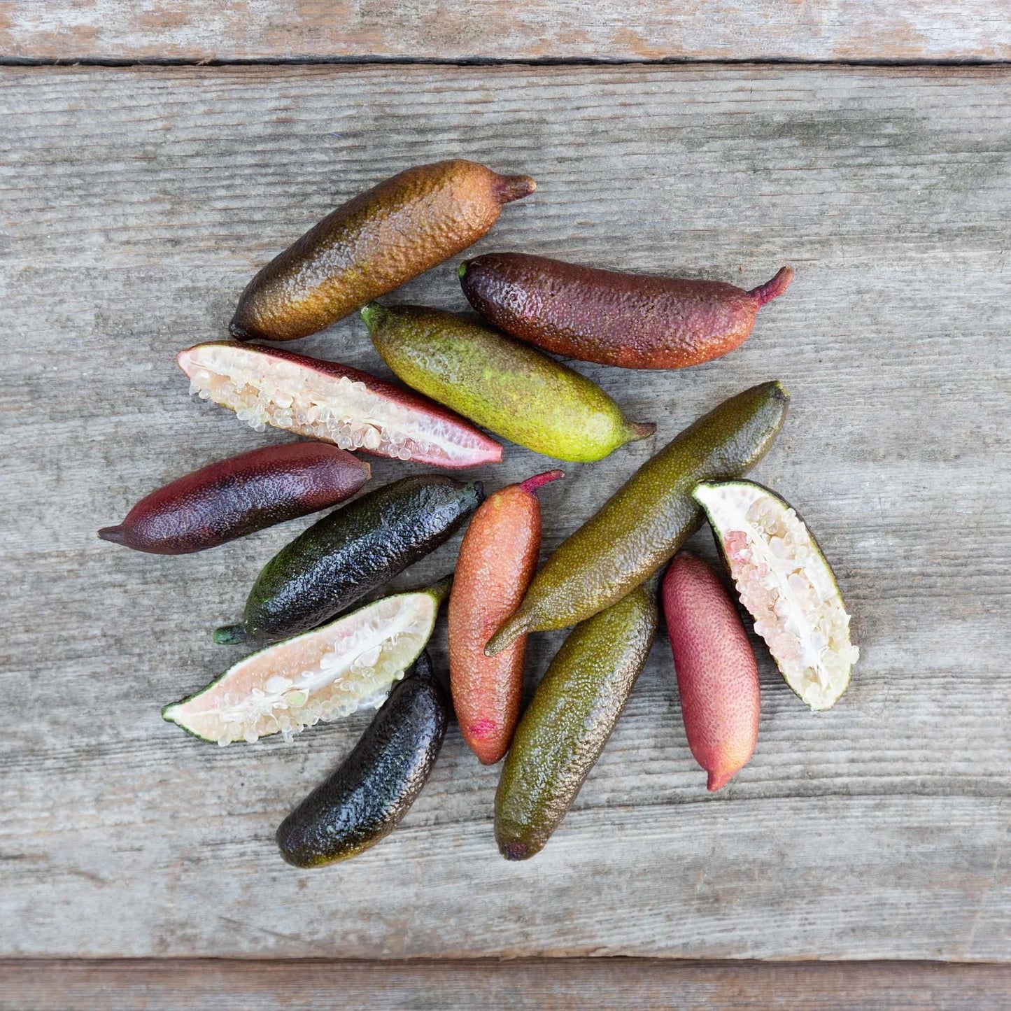 Organic Finger Limes (1.75 oz)