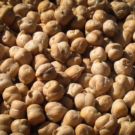 Dried Garbanzo Beans (1 lb)
