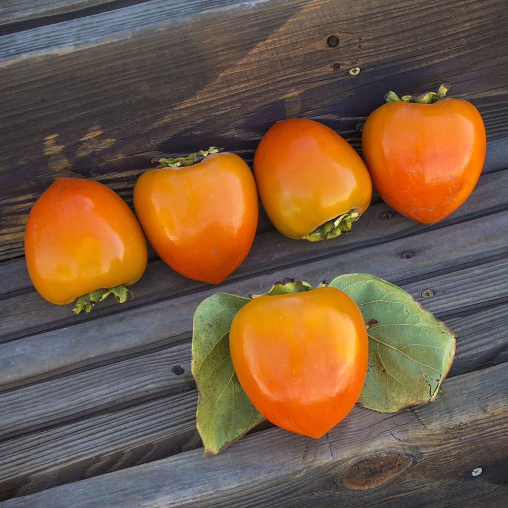 Organic Hachiya Persimmon (1 lb)