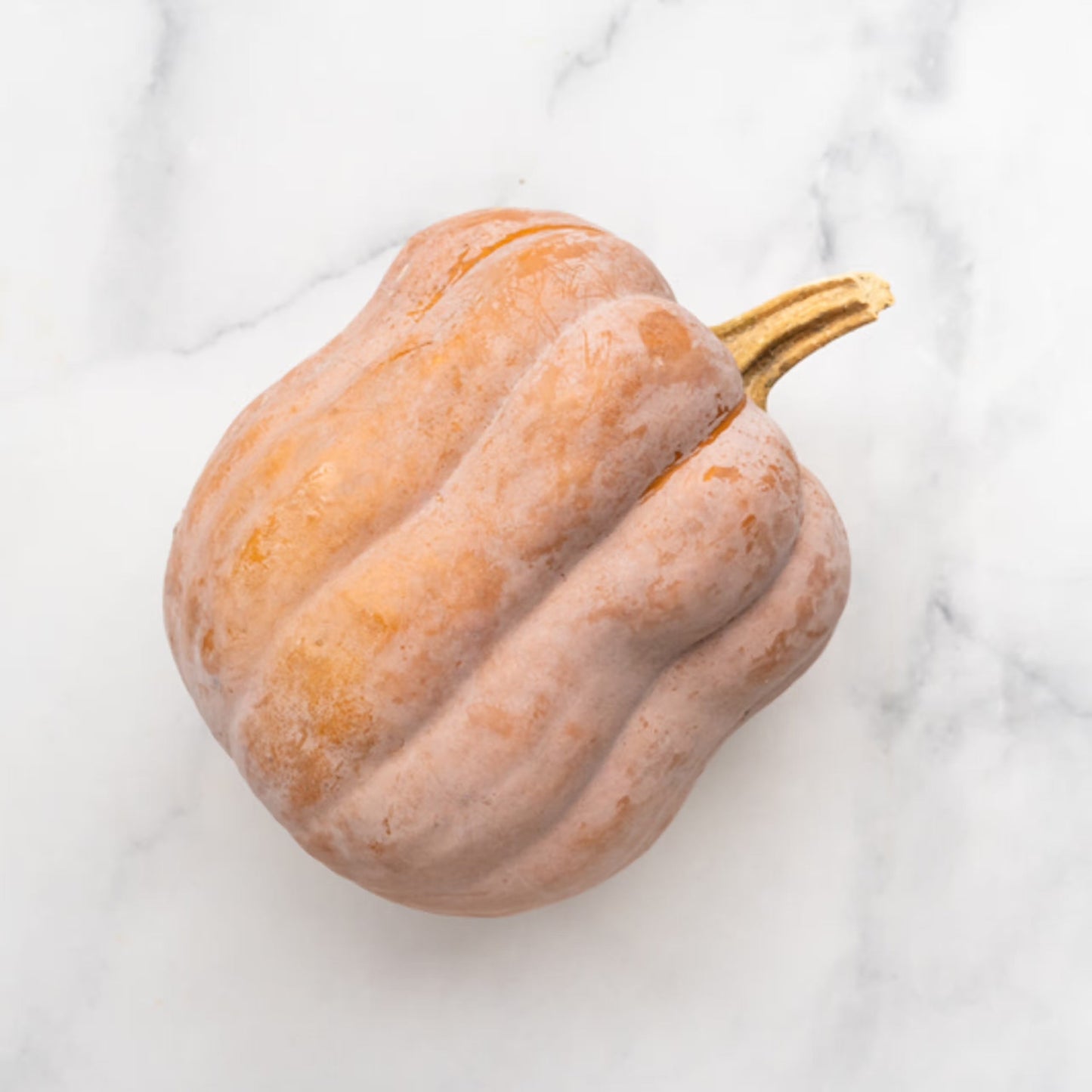 Organic Koginut Winter Squash (1 count)