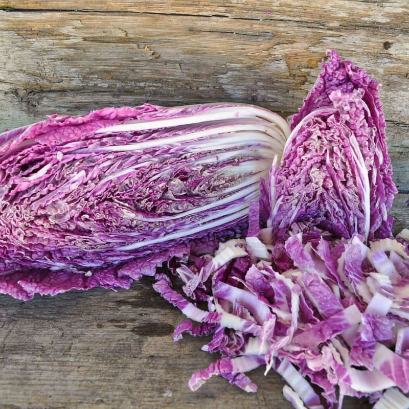 Organic Merlot Napa Cabbage (1 head)