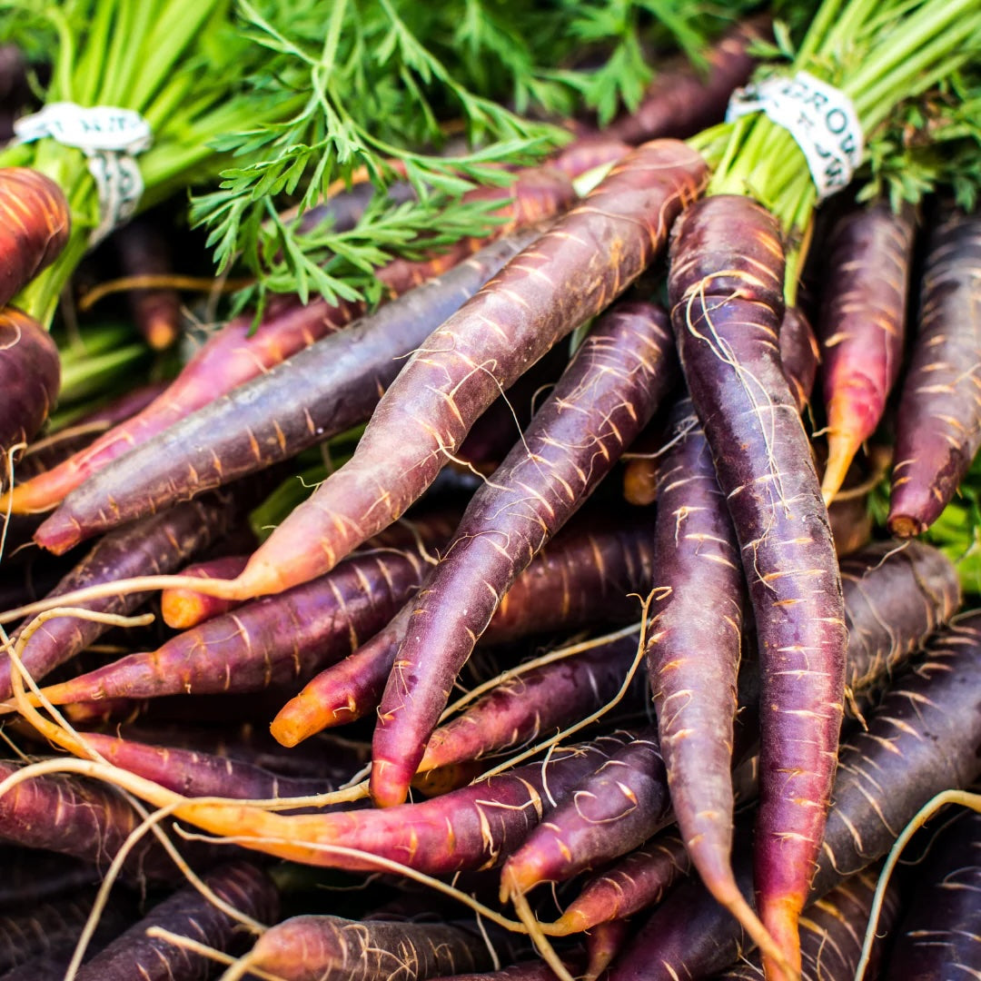 Organic Purple Haze Carrots (1 bunch)